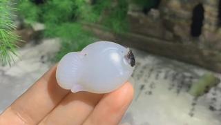 和田玉黑皮白玉山料挂件年年有余 白度佳 质地 油性足 品相佳 尺寸:40